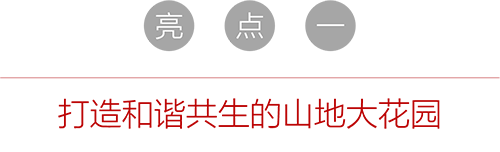 亮点一.png