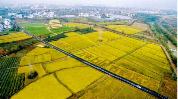 1675922948113388.png image.png