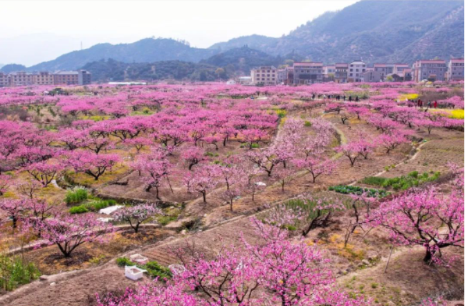 1680257183749914.png image.png